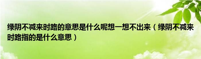 綠陰不減來時路的意思是什么呢想一想不出來（綠陰不減來時路指的是什么意思）