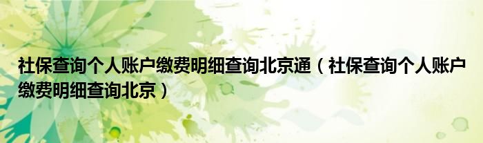 社保查詢個人賬戶繳費(fèi)明細(xì)查詢北京通（社保查詢個人賬戶繳費(fèi)明細(xì)查詢北京）
