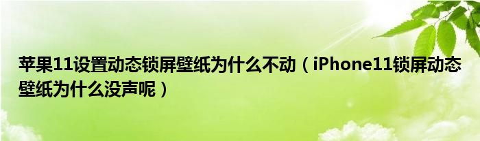 蘋果11設(shè)置動(dòng)態(tài)鎖屏壁紙為什么不動(dòng)（iPhone11鎖屏動(dòng)態(tài)壁紙為什么沒聲呢）