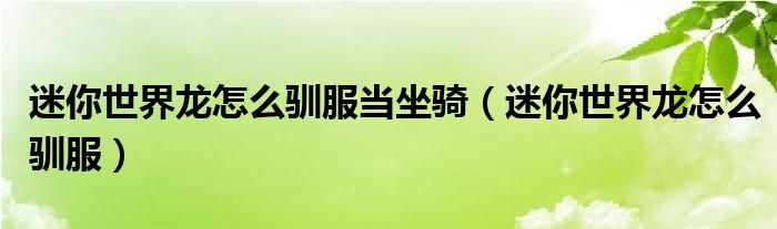 迷你世界龍怎么馴服當坐騎（迷你世界龍怎么馴服）