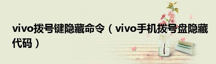 vivo撥號(hào)鍵隱藏命令（vivo手機(jī)撥號(hào)盤(pán)隱藏代碼）