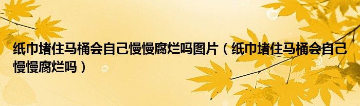 紙巾堵住馬桶會自己慢慢腐爛嗎圖片（紙巾堵住馬桶會自己慢慢腐爛嗎）