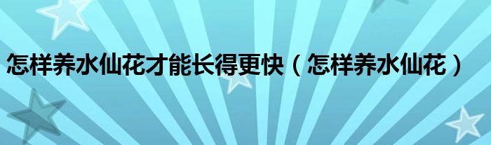怎樣養(yǎng)水仙花才能長(zhǎng)得更快（怎樣養(yǎng)水仙花）