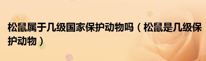 松鼠屬于幾級國家保護動物嗎（松鼠是幾級保護動物）