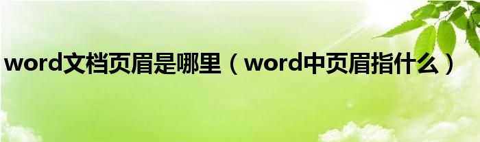 word文檔頁眉是哪里（word中頁眉指什么）