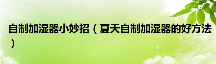 自制加濕器小妙招（夏天自制加濕器的好方法）