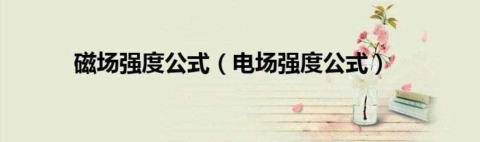 磁場(chǎng)強(qiáng)度公式（電場(chǎng)強(qiáng)度公式）