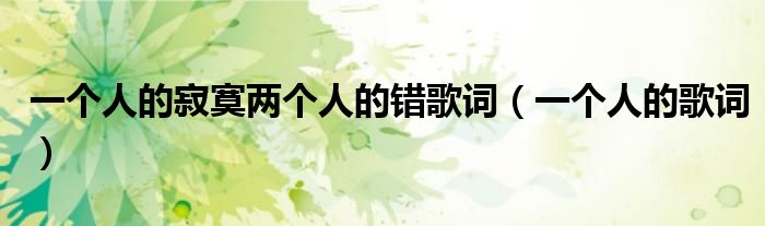 一個人的寂寞兩個人的錯歌詞（一個人的歌詞）