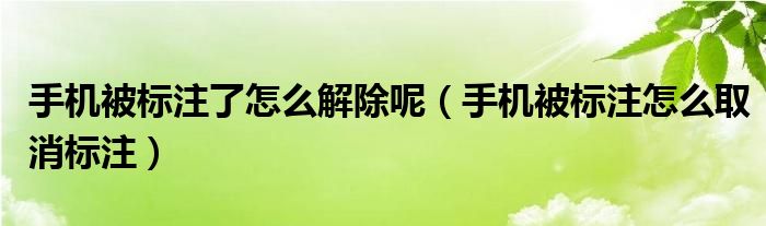 手機被標(biāo)注了怎么解除呢（手機被標(biāo)注怎么取消標(biāo)注）