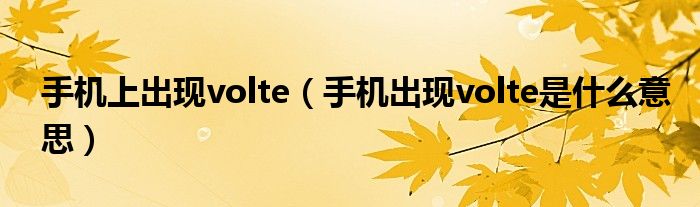 手機(jī)上出現(xiàn)volte（手機(jī)出現(xiàn)volte是什么意思）