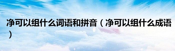 凈可以組什么詞語和拼音（凈可以組什么成語）