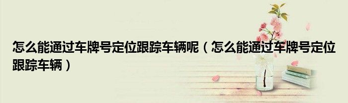 怎么能通過車牌號定位跟蹤車輛呢（怎么能通過車牌號定位跟蹤車輛）