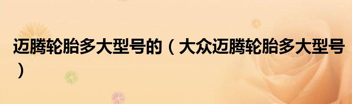 邁騰輪胎多大型號的（大眾邁騰輪胎多大型號）
