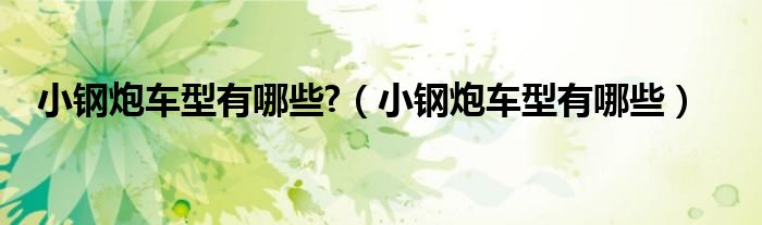 小鋼炮車型有哪些?（小鋼炮車型有哪些）