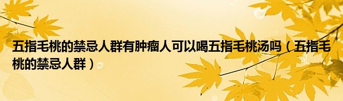 五指毛桃的禁忌人群有腫瘤人可以喝五指毛桃湯嗎（五指毛桃的禁忌人群）