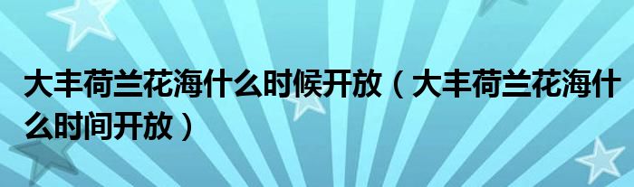 大豐荷蘭花海什么時候開放（大豐荷蘭花海什么時間開放）