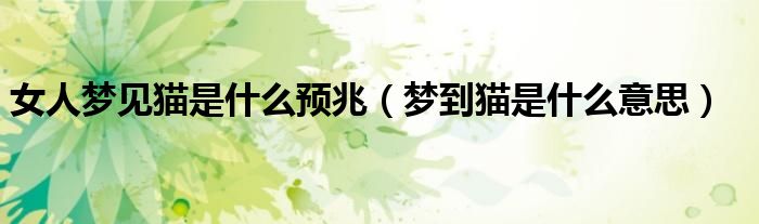 女人夢(mèng)見(jiàn)貓是什么預(yù)兆（夢(mèng)到貓是什么意思）