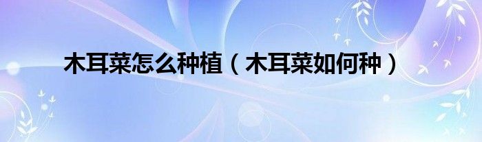 木耳菜怎么種植（木耳菜如何種）