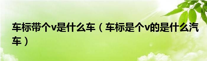車標(biāo)帶個(gè)v是什么車（車標(biāo)是個(gè)v的是什么汽車）