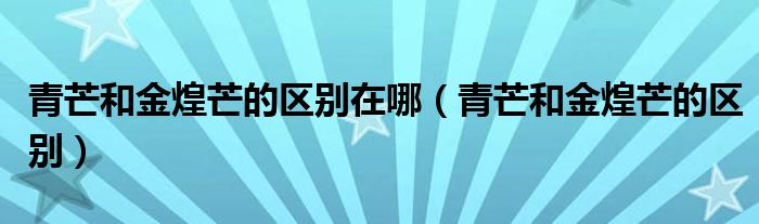 青芒和金煌芒的區(qū)別在哪（青芒和金煌芒的區(qū)別）