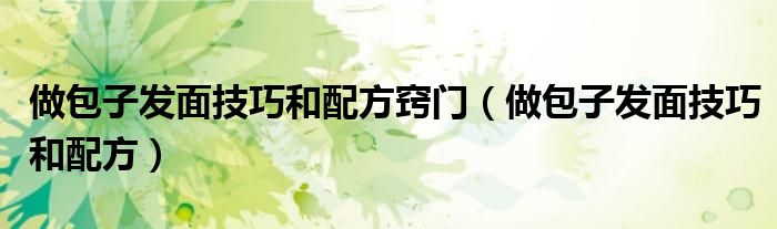 做包子發(fā)面技巧和配方竅門（做包子發(fā)面技巧和配方）