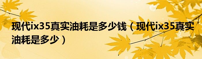 現(xiàn)代ix35真實油耗是多少錢（現(xiàn)代ix35真實油耗是多少）