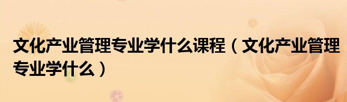 文化產(chǎn)業(yè)管理專業(yè)學(xué)什么課程（文化產(chǎn)業(yè)管理專業(yè)學(xué)什么）