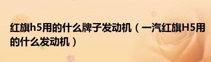 紅旗h5用的什么牌子發(fā)動機（一汽紅旗H5用的什么發(fā)動機）
