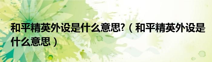 和平精英外設是什么意思?（和平精英外設是什么意思）