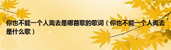 你也不能一個人離去是哪首歌的歌詞（你也不能一個人離去是什么歌）