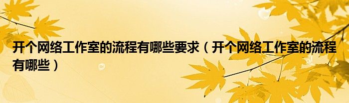 開個網(wǎng)絡(luò)工作室的流程有哪些要求（開個網(wǎng)絡(luò)工作室的流程有哪些）