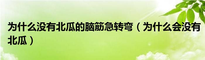 為什么沒有北瓜的腦筋急轉(zhuǎn)彎（為什么會沒有北瓜）