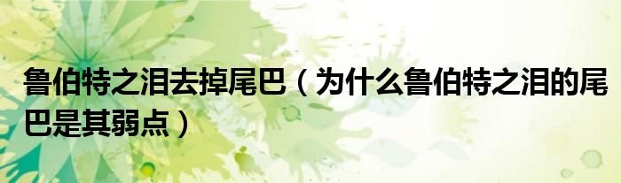 魯伯特之淚去掉尾巴（為什么魯伯特之淚的尾巴是其弱點(diǎn)）