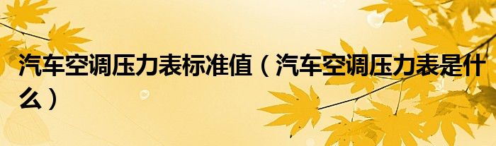 汽車空調(diào)壓力表標(biāo)準(zhǔn)值（汽車空調(diào)壓力表是什么）