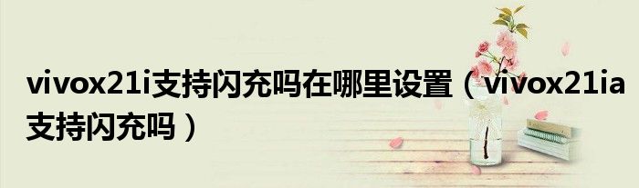 vivox21i支持閃充嗎在哪里設(shè)置（vivox21ia支持閃充嗎）