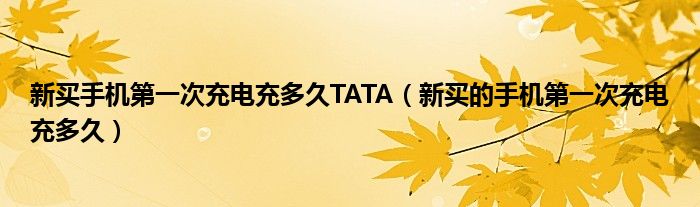 新買手機第一次充電充多久TATA（新買的手機第一次充電充多久）