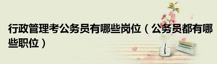 行政管理考公務(wù)員有哪些崗位（公務(wù)員都有哪些職位）