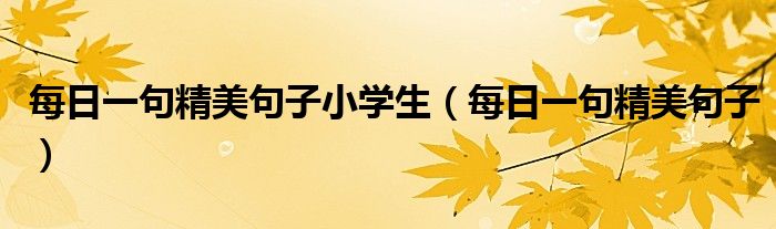 每日一句精美句子小學生（每日一句精美句子）