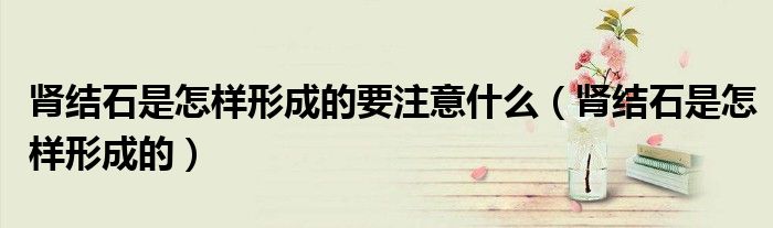 腎結(jié)石是怎樣形成的要注意什么（腎結(jié)石是怎樣形成的）