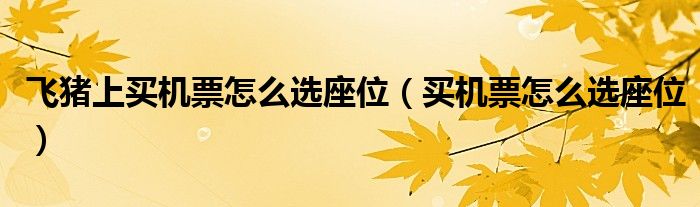 飛豬上買機(jī)票怎么選座位（買機(jī)票怎么選座位）