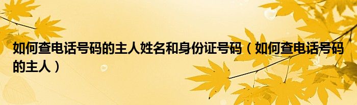 如何查電話號(hào)碼的主人姓名和身份證號(hào)碼（如何查電話號(hào)碼的主人）