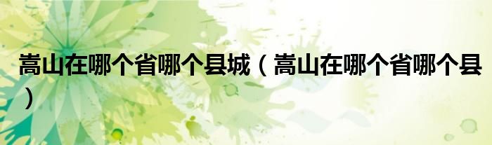 嵩山在哪個省哪個縣城（嵩山在哪個省哪個縣）