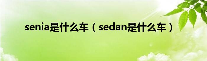 senia是什么車（sedan是什么車）