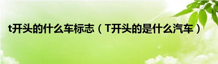 t開(kāi)頭的什么車(chē)標(biāo)志（T開(kāi)頭的是什么汽車(chē)）