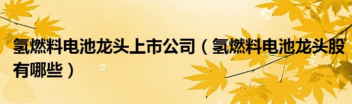 氫燃料電池龍頭上市公司（氫燃料電池龍頭股有哪些）