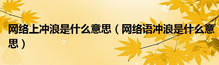 網(wǎng)絡(luò)上沖浪是什么意思（網(wǎng)絡(luò)語沖浪是什么意思）