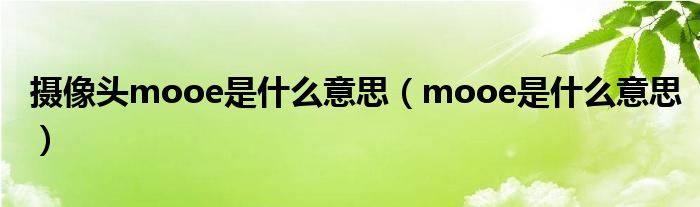 攝像頭mooe是什么意思（mooe是什么意思）