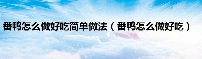 番鴨怎么做好吃簡單做法（番鴨怎么做好吃）