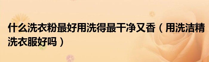 什么洗衣粉最好用洗得最干凈又香（用洗潔精洗衣服好嗎）