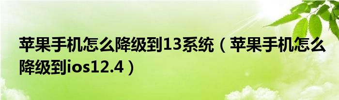 蘋果手機(jī)怎么降級(jí)到13系統(tǒng)（蘋果手機(jī)怎么降級(jí)到ios12.4）